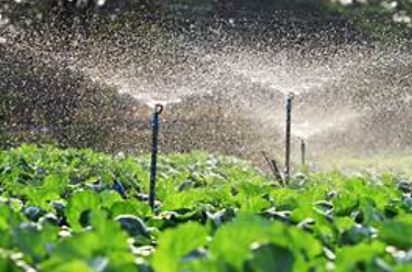 Sprinkler Irrigation