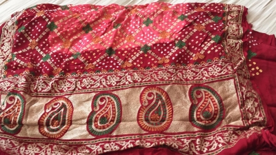 Sari