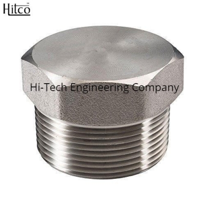 hitco - Hex Plug (M) IC-SS304/316 (1/4