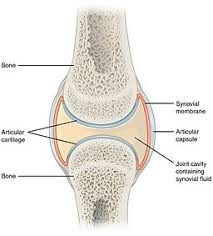 Fluid Examination