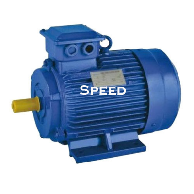 Phase Mounted Motor