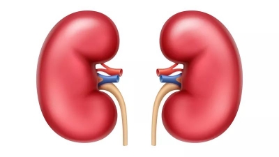 Kidney Disease