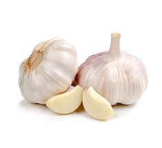 GARLIC