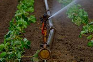 Other Irrigation Services