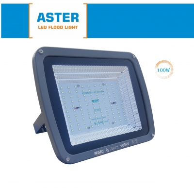 Aster Led Flood Light