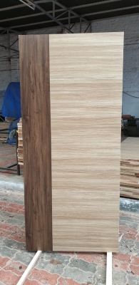 Premium Laminate Door