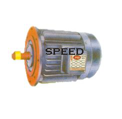 Flange Mounted Motor