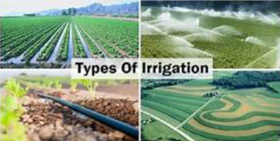 Other Irrigation Services