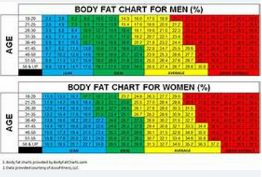 Body Fat Analysis & Counselling