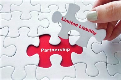 Limited Liability Partnership